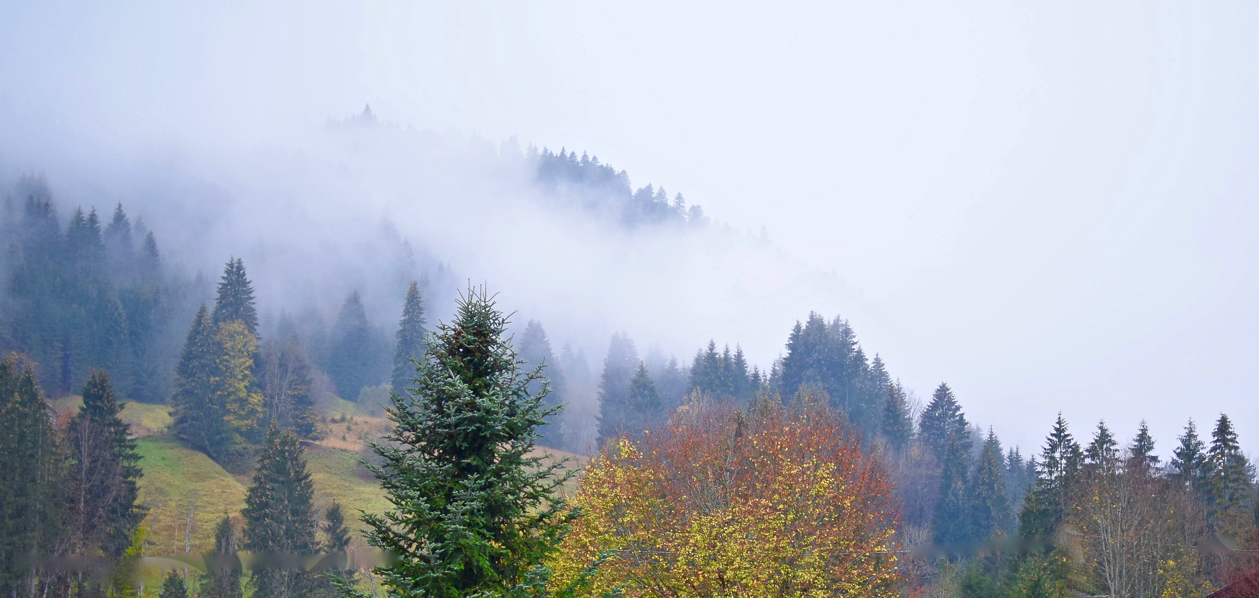 Autumn in Kalt Lake City